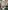 Glass Image Background