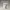 Glass Image Background