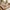 Glass Image Background