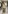 Glass Image Background