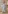 Glass Image Background