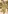 Glass Image Background