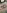 Glass Image Background
