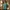 Glass Image Background
