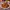 Glass Image Background