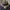 Glass Image Background