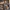 Glass Image Background