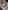 Glass Image Background