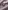 Glass Image Background