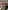 Glass Image Background