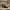 Glass Image Background