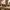 Glass Image Background
