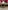 Glass Image Background