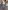 Glass Image Background