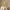 Glass Image Background
