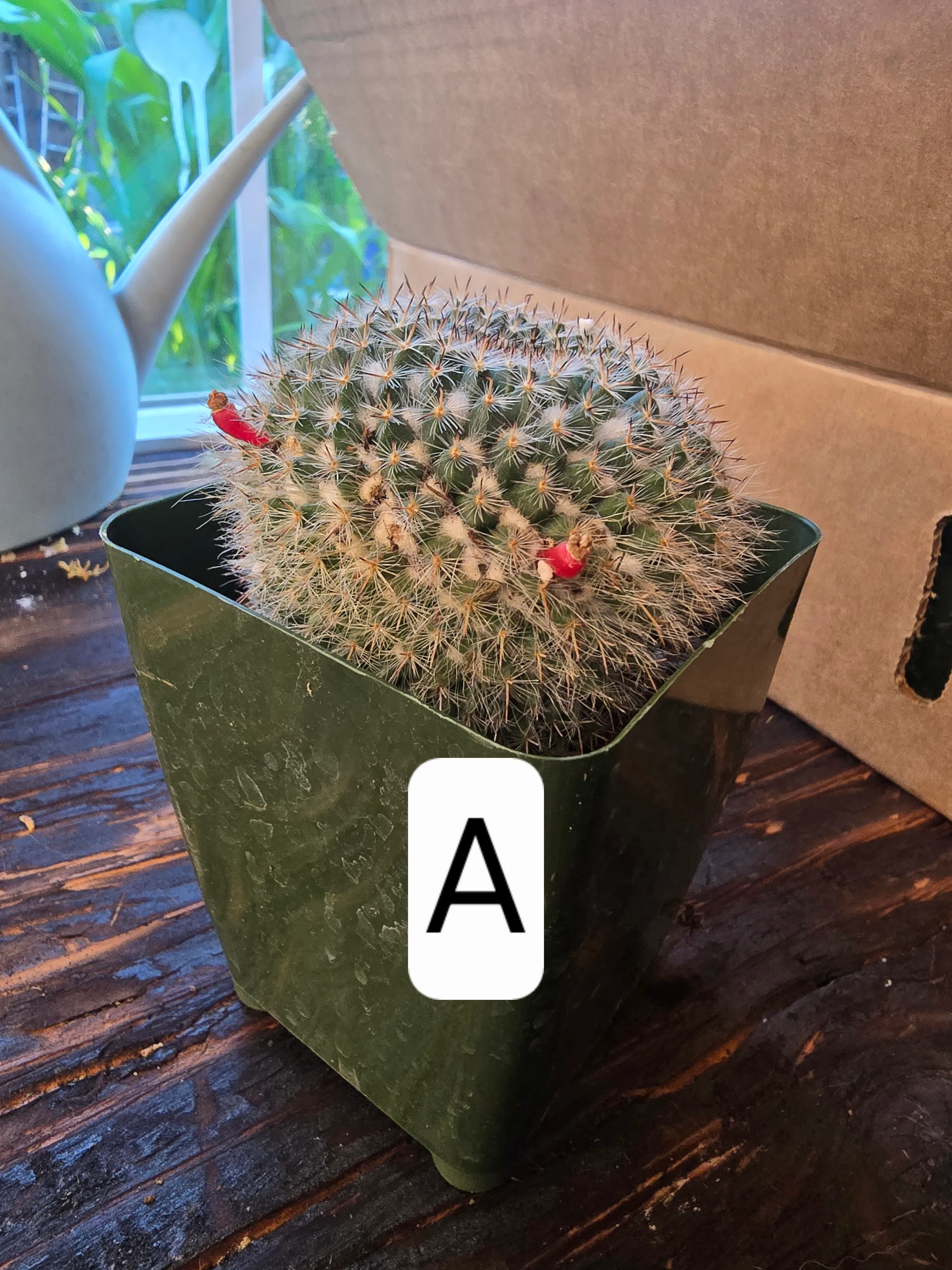 Product 5