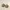 Glass Image Background