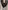 Glass Image Background