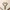 Glass Image Background
