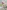 Glass Image Background