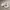 Glass Image Background