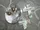 Glass Image Background