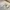 Glass Image Background