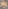 Glass Image Background