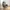 Glass Image Background