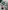 Glass Image Background