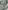 Glass Image Background