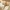 Glass Image Background