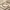 Glass Image Background