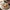 Glass Image Background