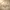Glass Image Background