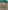 Glass Image Background