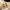 Glass Image Background