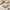 Glass Image Background