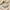 Glass Image Background