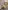 Glass Image Background