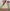 Glass Image Background