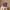 Glass Image Background