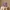 Glass Image Background