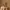 Glass Image Background