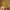 Glass Image Background