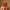 Glass Image Background
