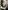 Glass Image Background