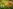 Glass Image Background