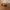 Glass Image Background