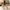 Glass Image Background